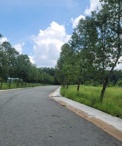 📢Bán đất ở Phường Thới Hòa, TX Bến Cát, Bình Dương, mặt tiền 5x30 giá siêu hạt dẻ 🌰, chốt nhanh kẻo hết🌋.