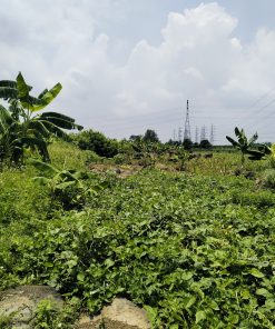 ⚡Bán gấp Đất trồng cây🌳🌴 - Vị trí tiện lợi 🌸tại huyện Vĩnh Cửu, tỉnh Đồng Nai 🐂