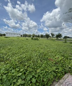 🌍 Mảnh đất lý tưởng 🏝️🦌 Thỏa sức tưởng tượng 🏡 cần bán gấp tại huyện Đức Hòa, Long An.💡💡