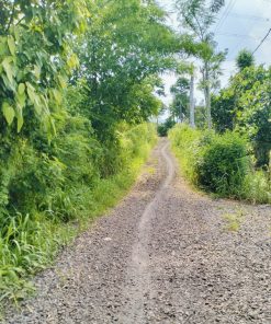 🧒Chủ đất cần chốt gấp🌋 mảnh đất 🌱 ở huyện Trảng Bom, Đồng Nai,🌏 diện tích 8005m2🌴