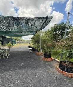 🔔Bán đất 1123.5m2 tại Bình Chánh, HCM 🌋vị trí đắc địa - giá ngộp🌅