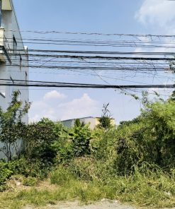 🎉Cơ Hội Vàng 🏆 Đầu Tư: Đất Nền Đẹp🌾 - Vị Trí Đắc Địa 🍀tại Cần Giuộc, Long An🌱