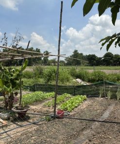 Bán 🌏 Tại Khu Vực Phát Triển 💹 Nóng - Cơ Hội Đầu Tư 🙆 Tuyệt Vời!👌