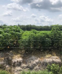 🌄Bán gấp lô đất ⛰️ ở xã Suối Ngô, tỉnh Tây Ninh dt 🌐 1074,4m2 giá ngộp 🌊