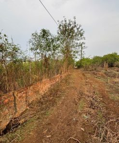 Lô 🏞️ Sổ Đỏ Chính Chủ - Giá Cả 🎁Thoả Thuận, Đầu Tư 💹 Sinh Lời Cao 💸