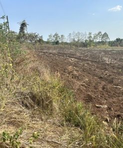 🌏 Khu Đất Rộng Rãi, Vị Trí Đắc Địa 🏝️- Giá Cực Tốt 🔥🔥 tại Biên Hòa , Đồng Nai dt 214000m2🦌