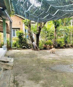 💒 Nhà Đẹp, Hẻm Xe Hơi 🚗 – Mua Ngay Trước Khi Hết! 🔥- tại Bình Dương📯