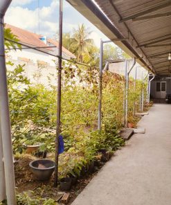 🏆MUA NGAY GIÁ SỐC 💸 Đất mặt tiền Long An - Vị trí vàng, đầu tư sinh lời, an cư lạc nghiệp! 👌