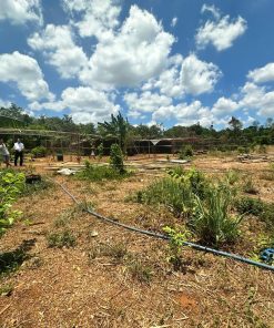 🌍Sở hữu ngay mảnh đất vàng tại Vũng Tàu – Vị trí đắc địa, tiềm năng sinh lời cao🌍