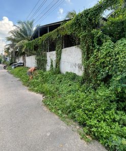 ⚡MUA NGAY⚡ Đất mặt tiền Đồng Nai 🌹tương lai phát triển mạnh🌹🌹