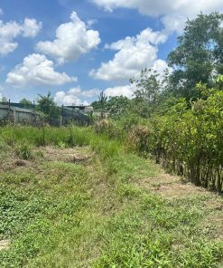 🌍BÁN ĐẤT BÌNH CHÁNH🌍 Không lo về giá 🔱 Sinh lời hằng năm 🏡🏡