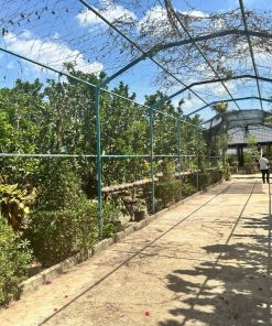 ☀️SIÊU CẤP 🥦Đất nông nghiệp Đồng Nai - Không gian yên bình - Tận hưởng cuộc sống 🥦Mua ngay với GIÁ ƯU ĐÃI 💸