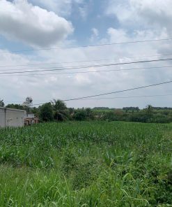 📢SIÊU PHẨM 🌏 ĐẤT ĐỒNG NAI tổng diện tích hơn 8000m2 - Đầu tư hôm nay - Lợi nhuận ngày mai 💸