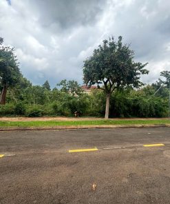 📢Chính chủ bán gấp lô đất thương mại dịch vụ 🌏 Đất mặt tiền gần 3000m2 tại Đồng Nai - Vị trí cực hot 🔥