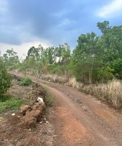 🔥Cơ hội sở hữu Đất Mặt Tiền Nông Nghiệp lý tưởng🔥 – Thích Hợp Canh Tác Và Đầu Tư🌍