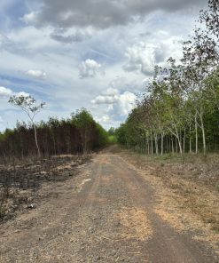 🔥Siêu phẩm đất vàng🔥  – vị trí đắc địa, pháp lý chuẩn, giá cực hấp dẫn💸💸!