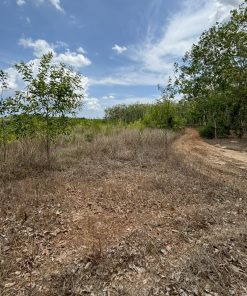 🌟Siêu phẩm đất vị trí vàng🌟 – vị trí đắc địa, giá ưu đãi💸, cơ hội đầu tư cực kỳ tiềm năng📈!