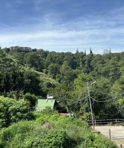 📢 SIÊU PHẨM ĐẤT TẠI TRUNG TÂM ĐÀ LẠT - 💸 CƠ HỘI VÀNG ĐẦU TƯ - CHỈ MỘT MẢNH DUY NHẤT 🔥