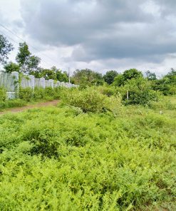 📢BÁN GẤP📢 - 2 LÔ ĐẤT MẶT TIỀN - tại Đồng Nai - Khả năng sinh lời cao📈📈