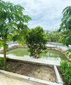 🔥SIÊU HOT🔥 BÁN GẤP MÃNH ĐẤT GẦN 4000 M2 Giá chỉ dưới 7 tỷ💸 tại Bình Thuận