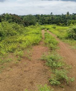 💫ĐẤT MÀU MỠ tại Đồng Nai💫 - Nông nghiệp hôm nay - Tương lai ngày mai