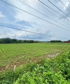 🔥QUÁ HOT🔥 Đất Nông Nghiệp Phì Nhiêu💦, Tiềm Năng Cao – Đầu Tư hiện nay📈