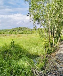 🔔 Bán GẤP 🌍 ĐẤT Ở NÔNG THÔN tại Bình Dương với hơn 5000m2  - Mua ngay Giá siêu ưu đãi 💸