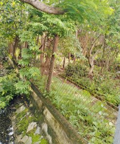 ♨️HOT 🏫 Bất động sản giá rẻ tại Hóc Môn - Vị trí cực đẹp - Nhanh tay sỡ hữu 🚤