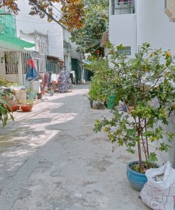 🌟 SIÊU PHẨM 🏡 Nhà 47m², Hẻm Rộng 3m, Trung Tâm Gò Vấp – Giá CỰC Tốt 💸