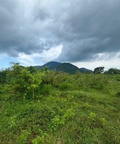 💫 Tận Hưởng Thiên Nhiên🌴: Đất Trống Rộng Rãi🖼️, Vị Trí Tuyệt Vời💦