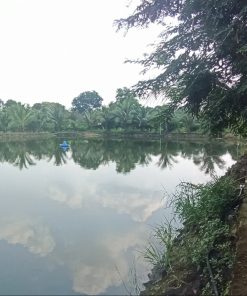 🌹GIÁ XUÝT XOA🌹 6 BĐS 🔔MÀU MỠ - TRÙ PHÚ 🔔tại Trảng Bom Đồng Nai🌎