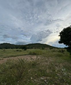 🌟Sở Hữu Đất Vàng Giá Tốt, Pháp Lý Rõ Ràng🌟 – Đầu Tư Sinh Lời Cao