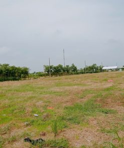 🌍Bán Đất Gò Công Gần Biển 🌟 Không Gian Xanh 💸Thuận tiện kinh doanh💸