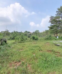 ❗Đất Long Thành - 💎Cạnh tranh bền vững💎