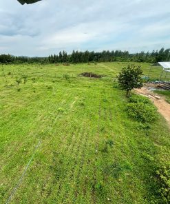 🎋 BÁN ĐẤT NÔNG TRẠI - NGHỈ DƯỠNG TẠI HÀM THUẬN NAM, BÌNH THUẬN - CƠ HỘI ĐẦU TƯ ĐỈNH CAO! 💥