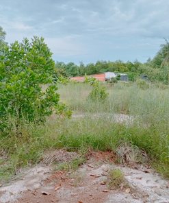 📢Cực HOT 🌄 Đất Mặt Tiền 153.8m² tại Tây Ninh, Gần Hồ Dầu Tiếng – Giá cực ưu đãi 🌄