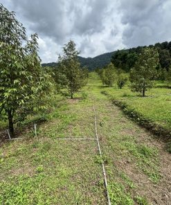 ⚡️CỰC SỐC 🌷- CƠ HỘI VÀNG SỞ HỮU MẢNH ĐẤT TẠI LÂM ĐỒNG - TIỀM NĂNG, GIÁ TRỊ BỀN VỮNG CAO🔥🔥