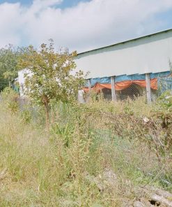 🌸☘️NẾU BẠN ĐANG MUỐN TÌM MỘT CĂN GIÁ RẺ TẠI BÌNH DƯƠNG, THÌ ĐÂY LÀ TIN VUI CHO BẠN - VỚI GIÁ SIÊU HỜI💥💥