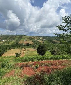 ☘️ĐẤT BẢO LỘC CỰC LÝ TƯỞNG - BẠN ĐÃ BIẾT CHƯA??🌸🌹