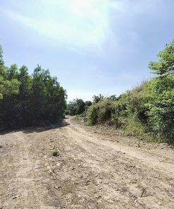 💥⚡️CỰC SỐC - ĐẤT ĐỒNG NAI GIÁ SIÊU HỜI - BẠN ĐÃ BIẾT CHƯA?☘️⚡️