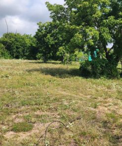 💒 Vùng Đất Vàng 🌿 Bình Thuận: Cơ Hội Vàng✨ Cho Nhà Đầu Tư 🤓 Thông Thái!💫