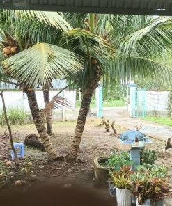 🔥 SỞ HỮU NGAY 2 BĐS GIÁ RẺ tại thành phố Bến Tre 🏡💰