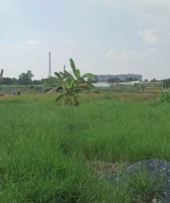 🌿 🔥 Bán đất mặt tiền cực HOT tại Bình Chánh, HCM! 🔥 🌿