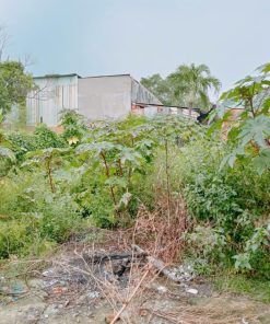 🏡 BÁN ĐẤT MẶT TIỀN ĐƯỜNG XUÂN THỚI 14B – HÓC MÔN 🌟