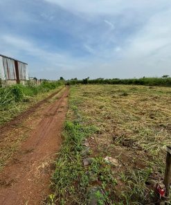 🌟 SIÊU PHẨM ĐẤT ĐỒNG NAI - VỊ TRÍ VÀNG, ĐẦU TƯ SINH LỜI 🌟