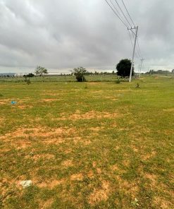 🔥 ĐẤT BÌNH THUẬN - DIỆN TÍCH LỚN - SINH LỜI CAO 🔥