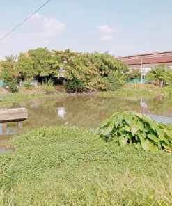 🚩ĐẤT THUẬN AN - BÌNH DƯƠNG 🔥 Chưa bao giờ hết hot 🌿