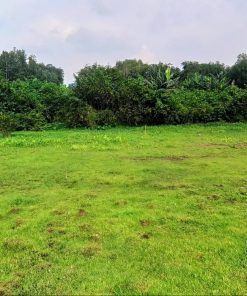 🌎 ĐẤT ĐẸP LONG THÀNH - ĐỒNG NAI 🎯 Đầu tư ngay hôm nay🌹