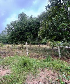 🌿 SIÊU PHẨM ĐẤT VƯỜN ĐẸP - GIÁ TỐT TẠI DIÊN KHÁNH, KHÁNH HÒA 🌿