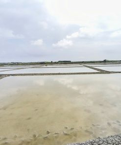 ❌CỰC SỐC❌ 🌊 SIÊU PHẨM ĐẤT MUỐI CỰC RỘNG HƠN 2 HECTA - LÝ NHƠN, CẦN GIỜ 🌊